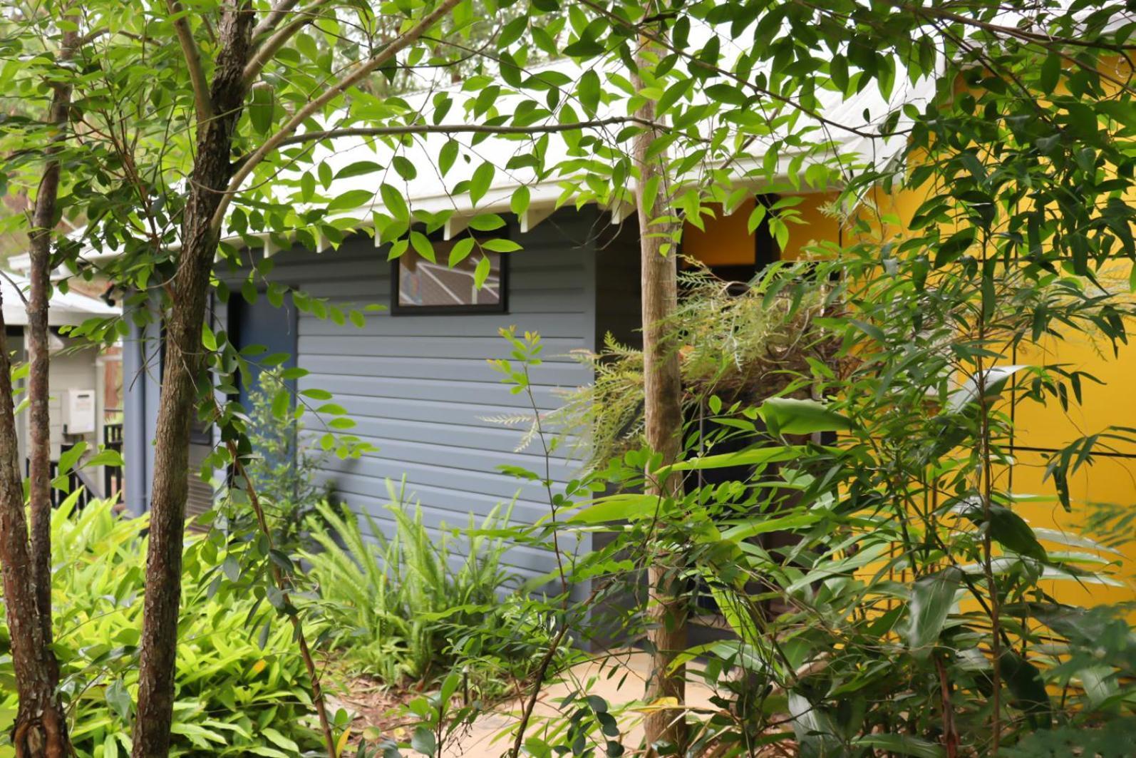 Sky Island Studios Mount Tamborine Habitación foto